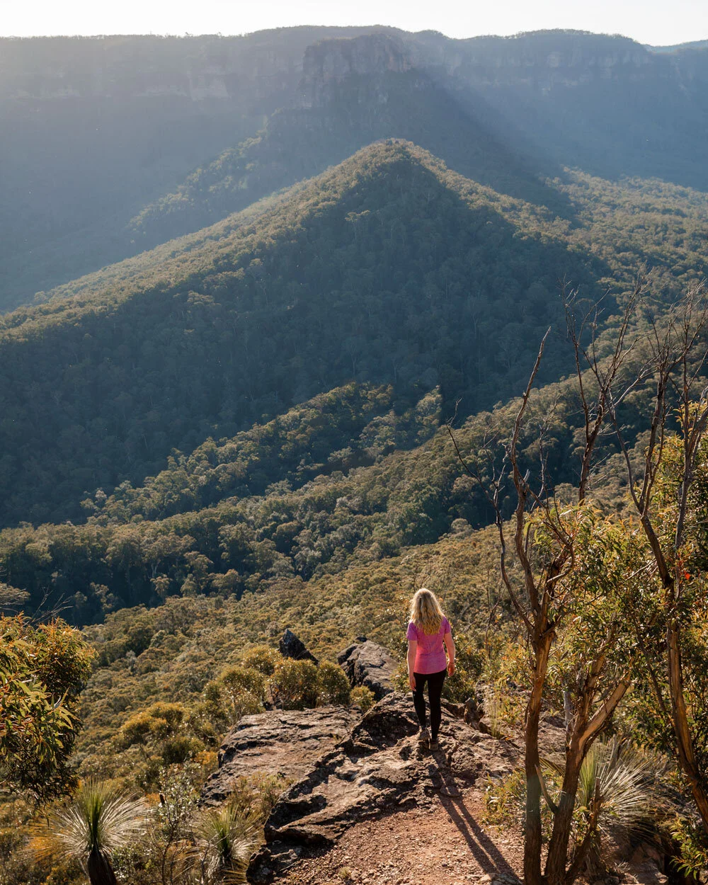 Mount solitary day hike discount